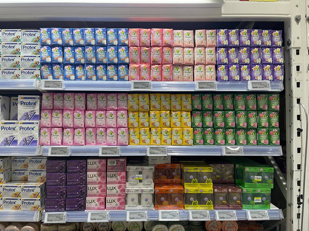 Modern Trade Distribution of Cellox and Hygienist Products by BJC at Makro Cambodia 12 Dec - Image 19